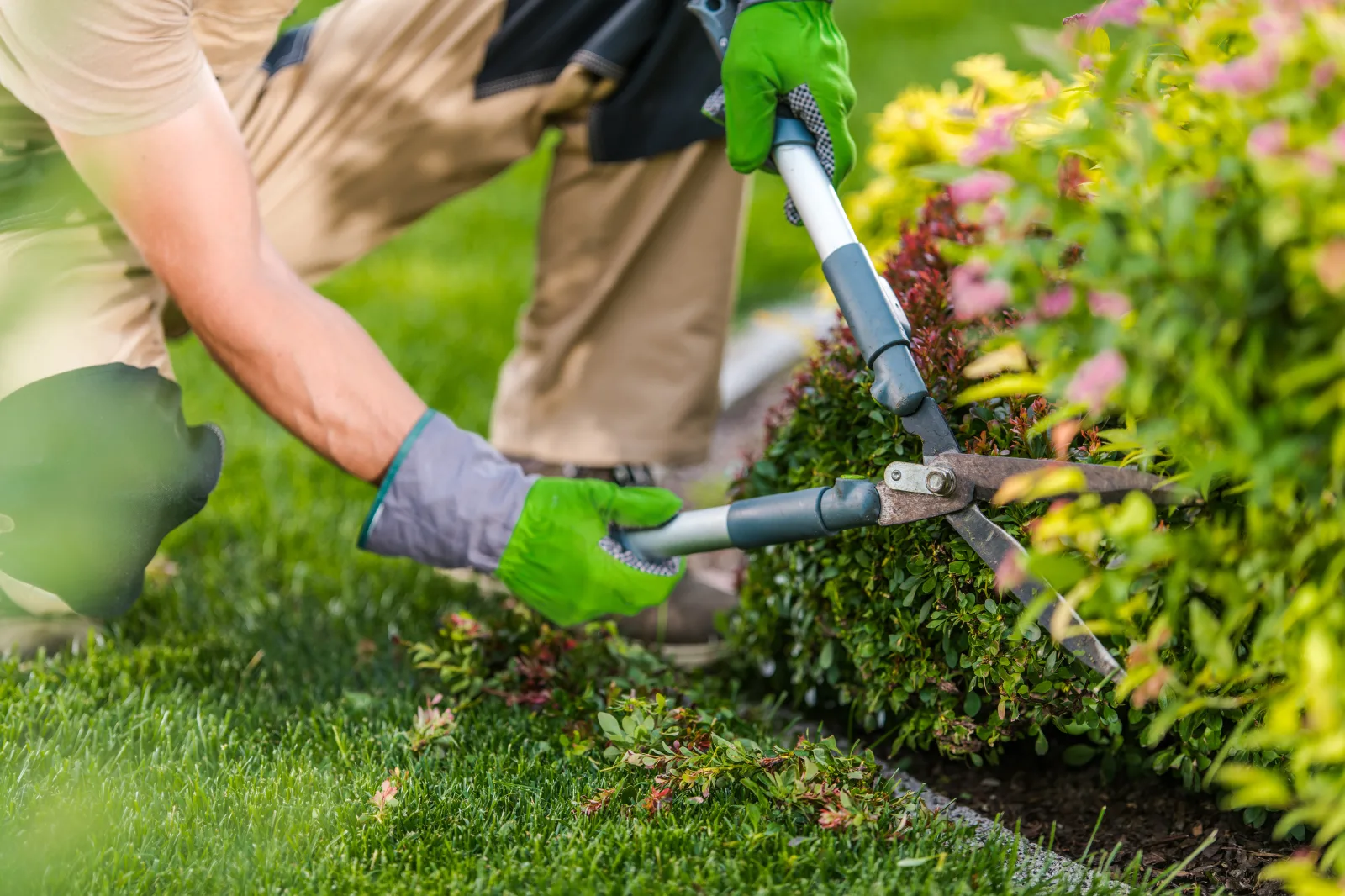 entretien de jardin